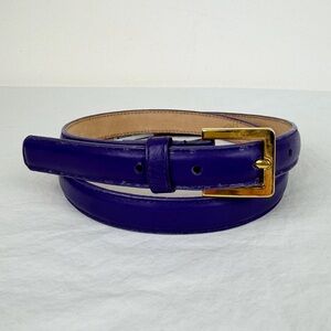 The Ritz Accessory Collection Vintage Purple Belt